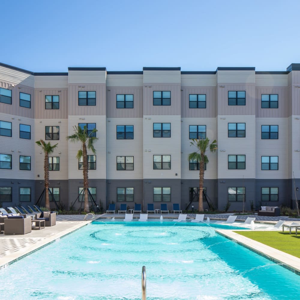 Large inground resident pool surrounded by palm trees at Bellrock Memorial in Houston, Texas