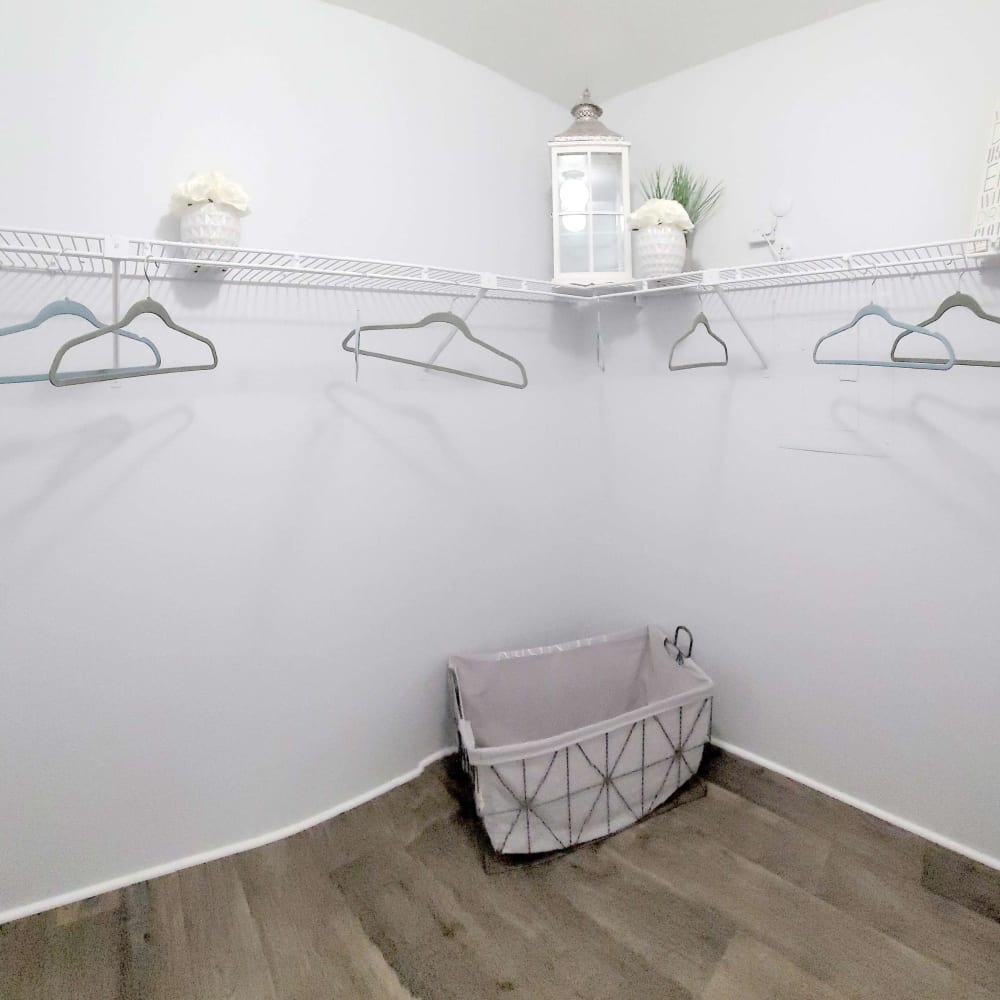 Spacious closets with wood-style flooring at Carrara at Cypress Creek in Spring, Texas