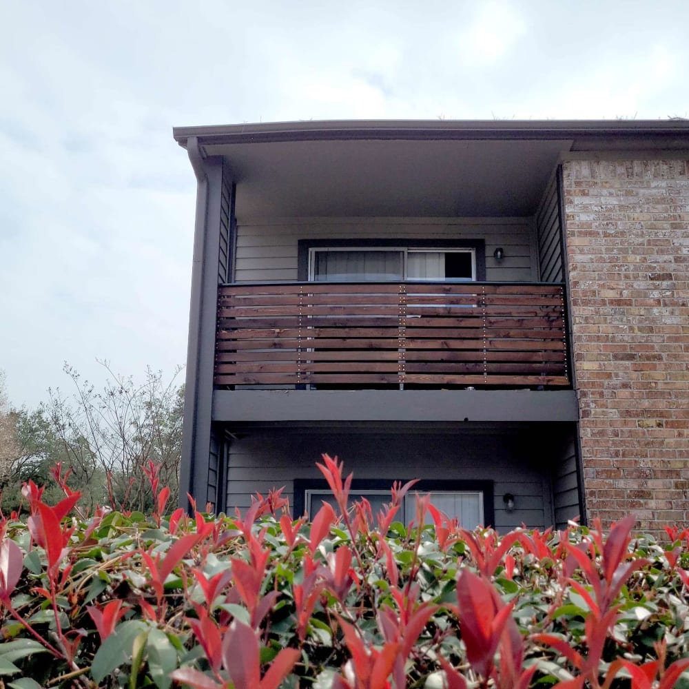 Beautiful landscaping at Carrara at Cypress Creek in Spring, Texas