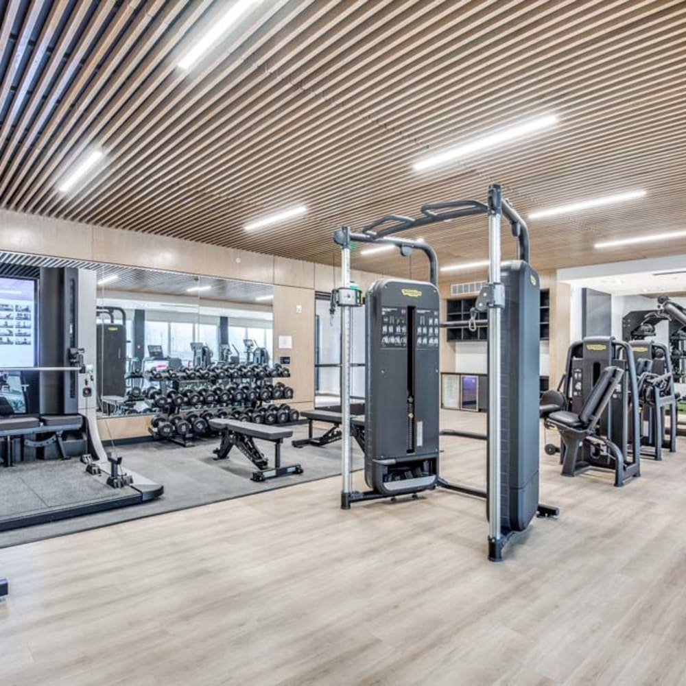 Fully Equipped Gym at Mezzo Apartments in Aubrey