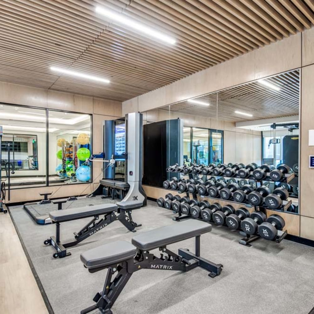 Gym with Weights at Mezzo Apartments in Aubrey