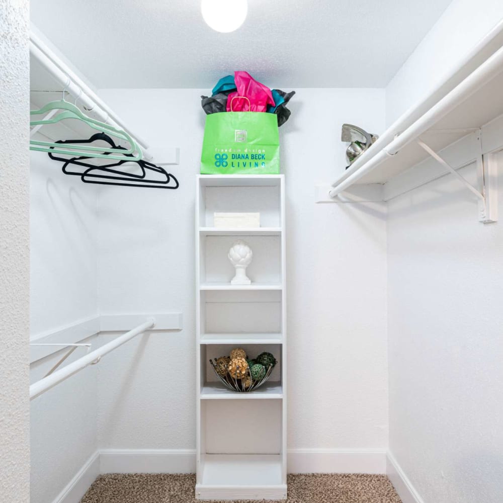 Built in shelving in spacious closet at The Edge at Clear Lake in Webster, Texas