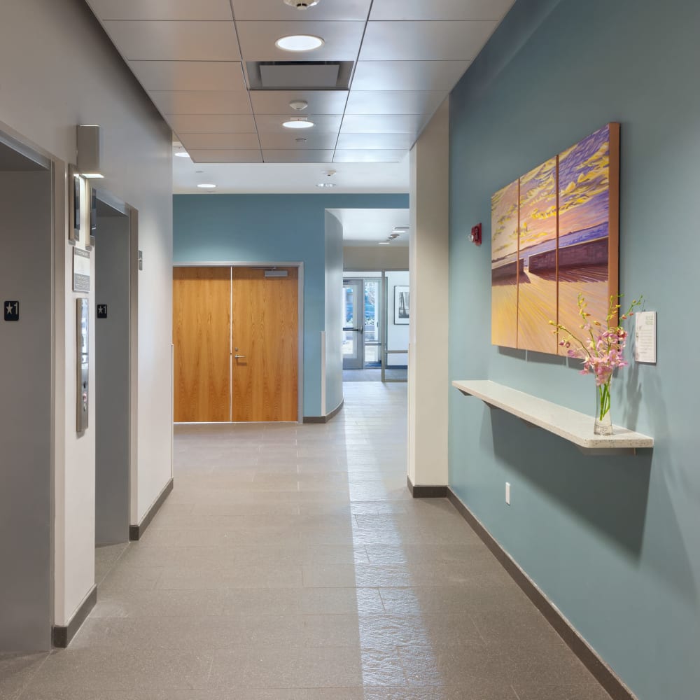 Hallways with elevators at Metro Green Residences in Stamford, Connecticut