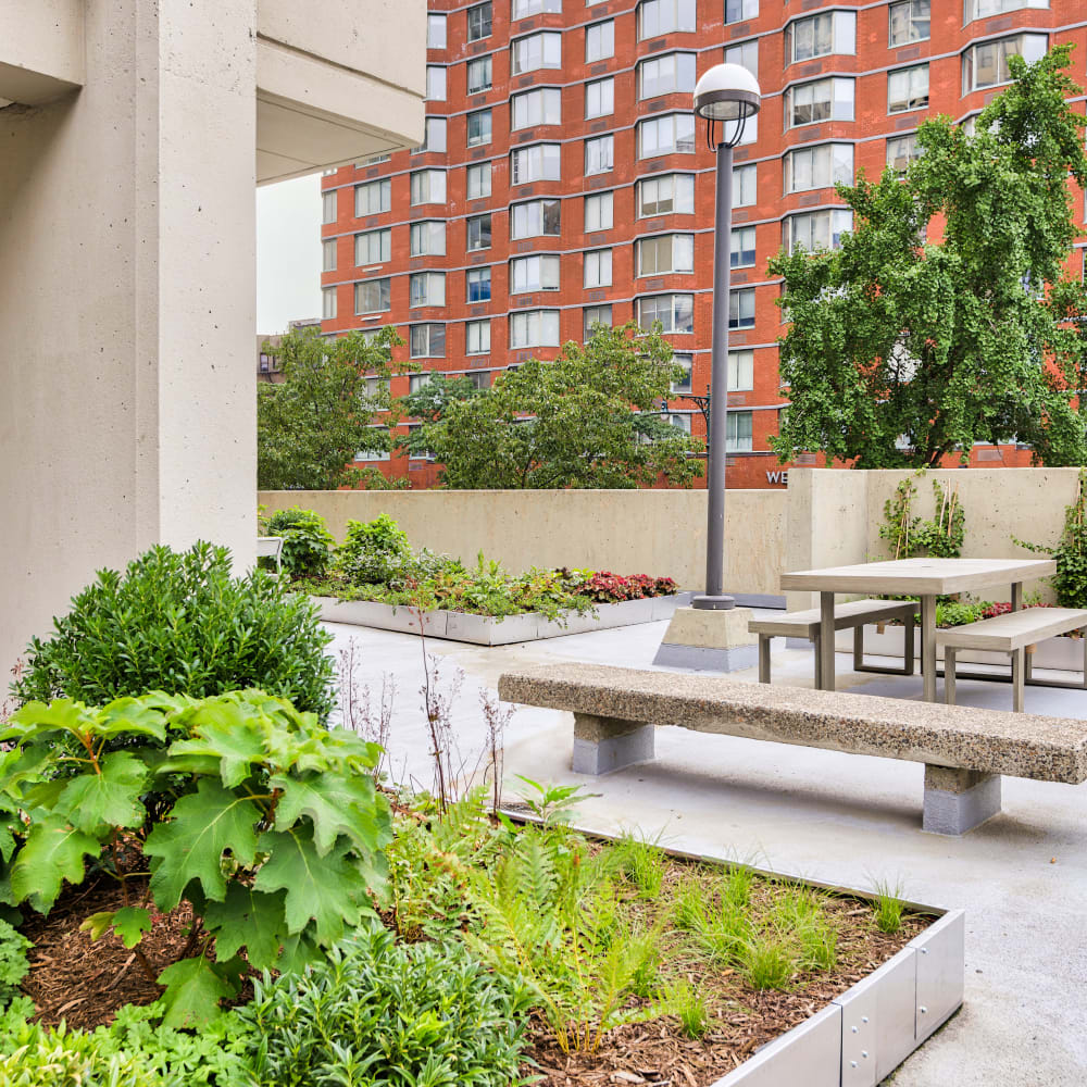 Exterior grounds with picnic benches at Tower West Apartments in New York, New York
