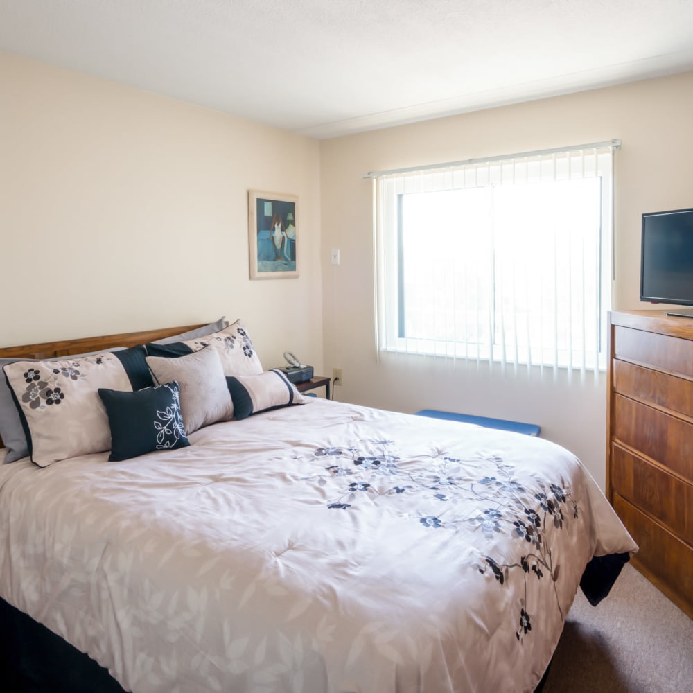 Spacious carpeted bedroom at Village Square Apartments in Williamsville, New York