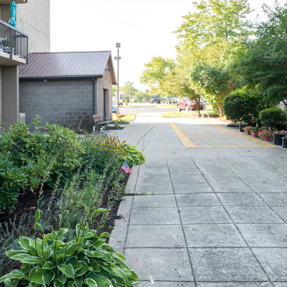 Walk side at Village Square Apartments in Williamsville, New York