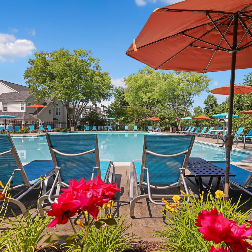 The Olympic size community swimming pool at The Courts of Avalon in Pikesville, Maryland 