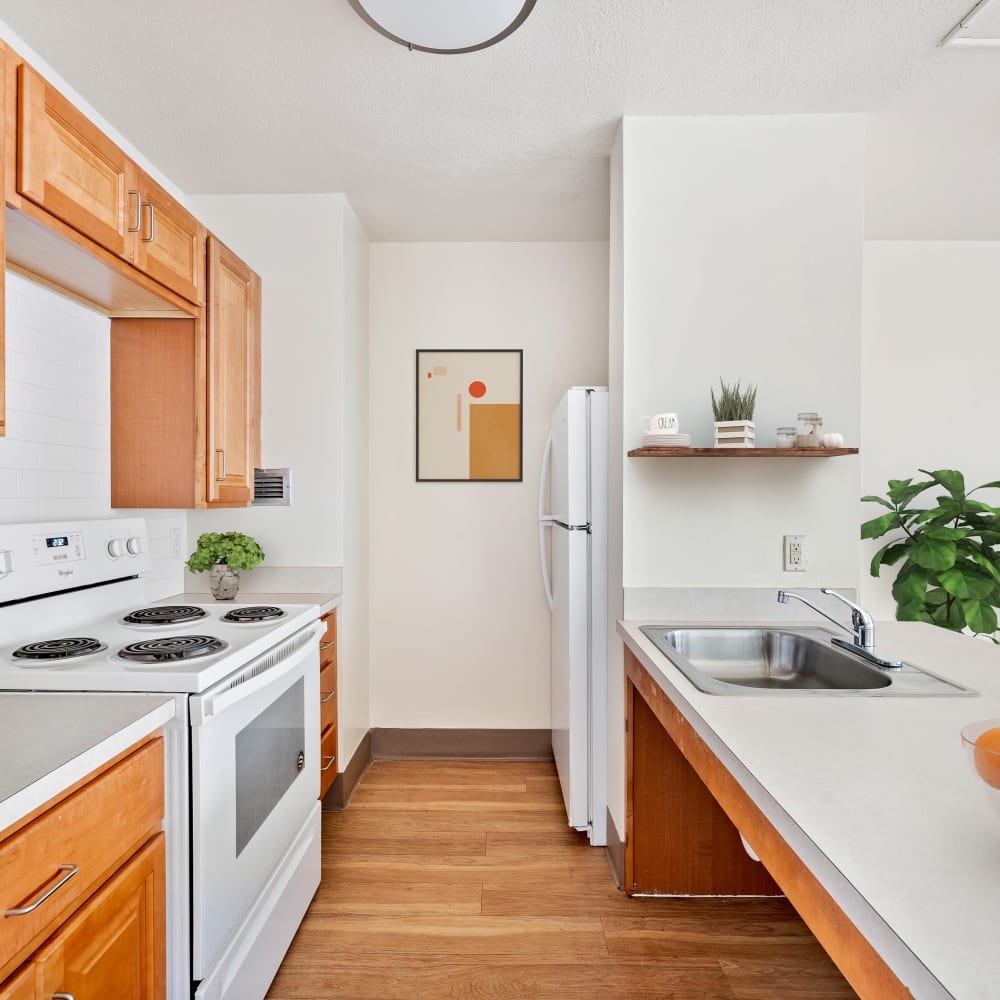 Appliances in a modern kitchen at Grace West Manor Apartments in Newark, New Jersey