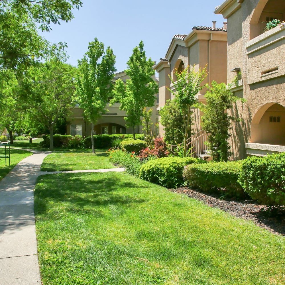 Greenery outside of Vineyard Gate Apartments in Roseville, California