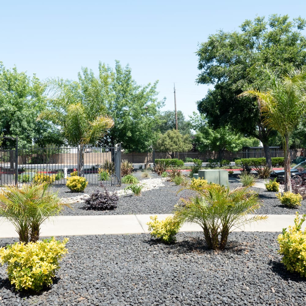 Manicured courtyard at Vineyard Gate Apartments in Roseville, California