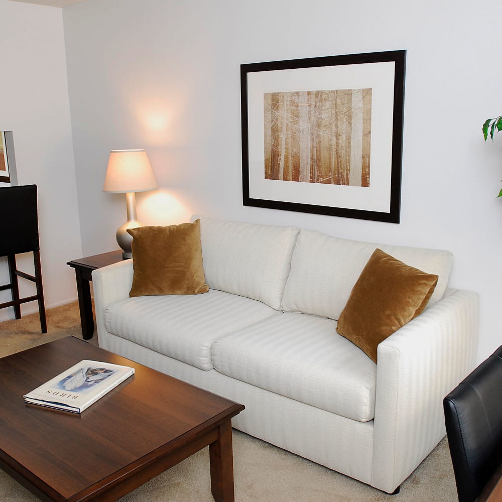 Living room in a one bedroom apartment at Temescal in Davis, California