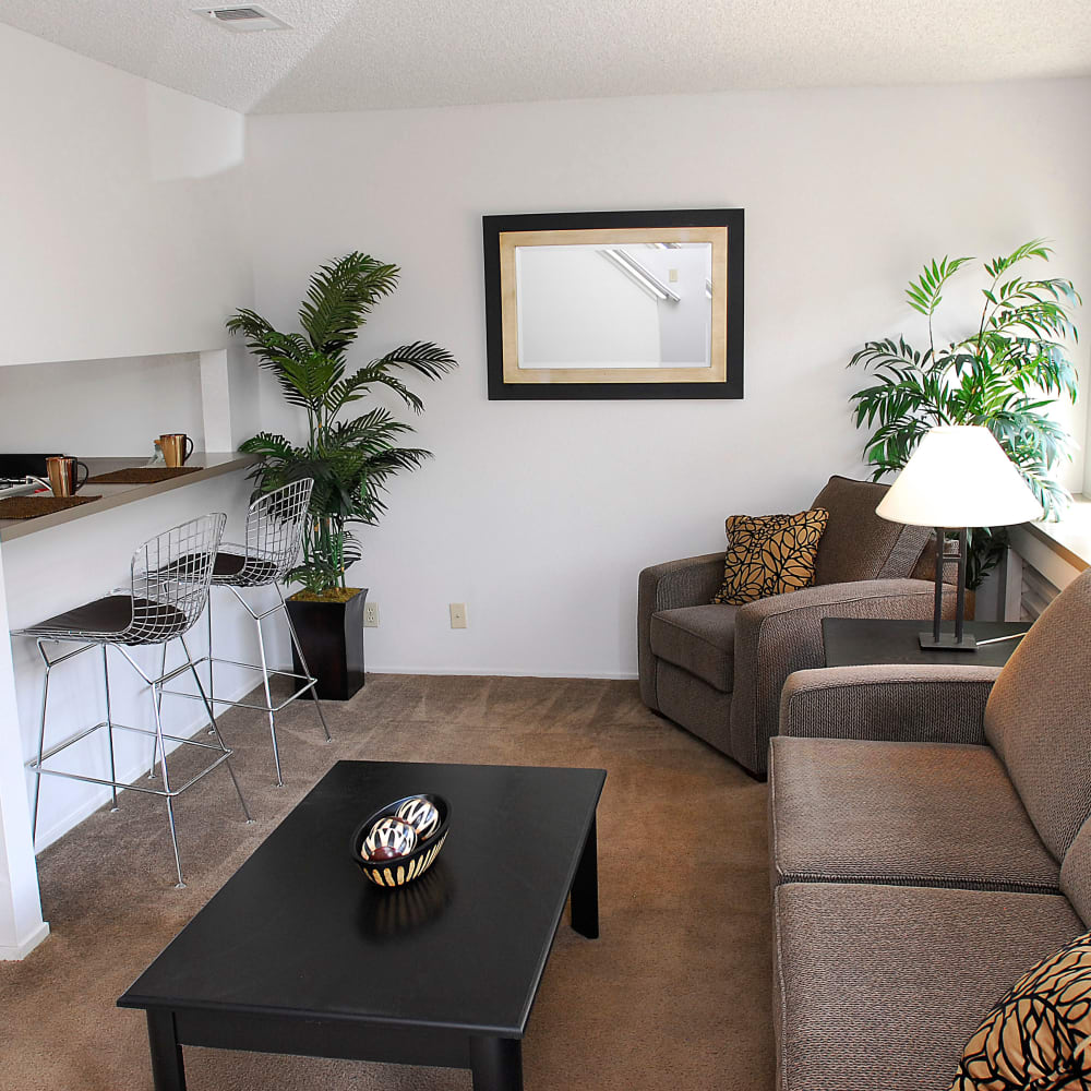 Living room in a 3 bedroom apartment at Temescal in Davis, California
