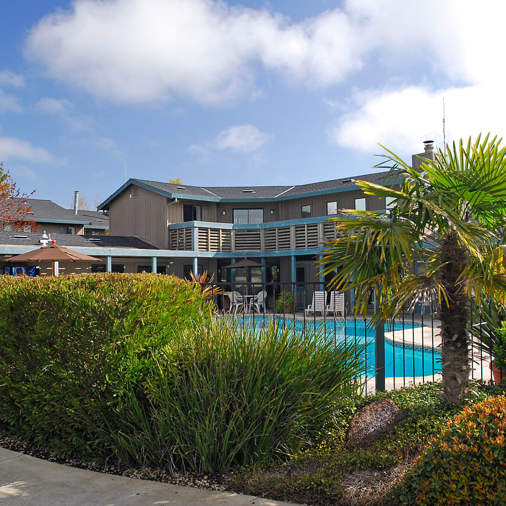 Gated pool at Temescal in Davis, California