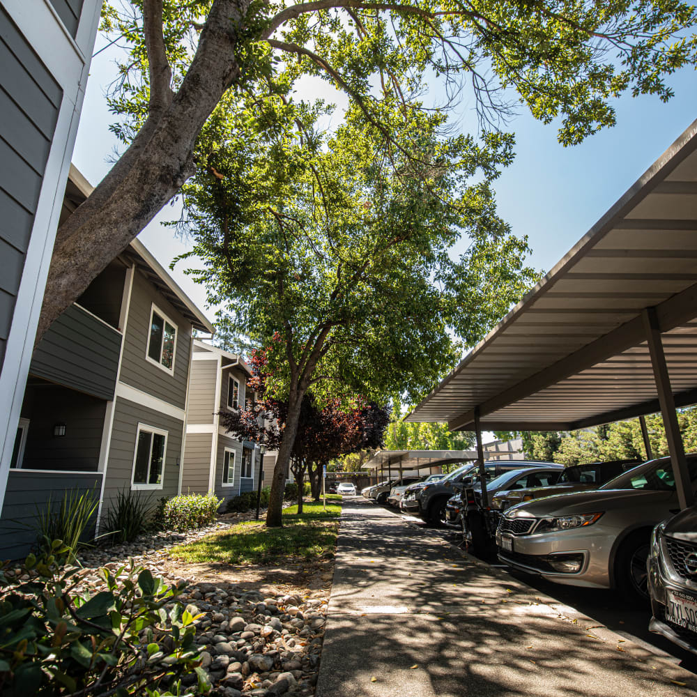 Covered parking at Oak Ridge Apartments in Sacramento, California