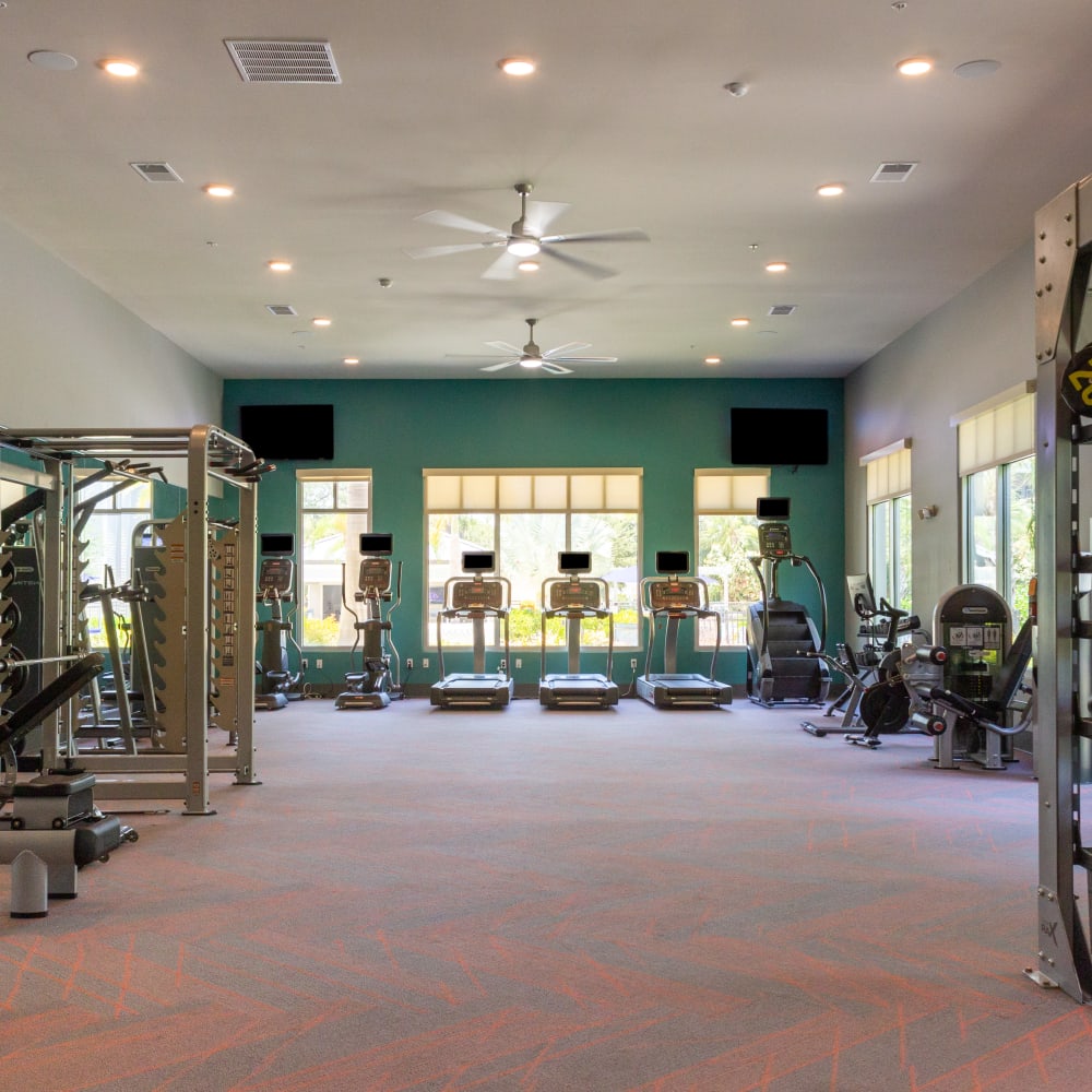 Fitness center with exercise machines at Venue Live Oak in Sarasota, Florida