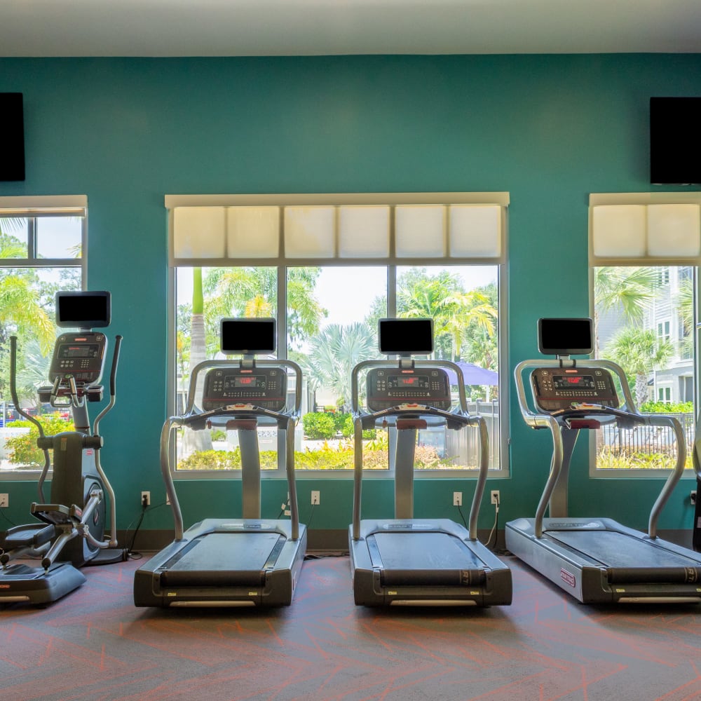 Fitness center with treadmills at Venue Live Oak in Sarasota, Florida