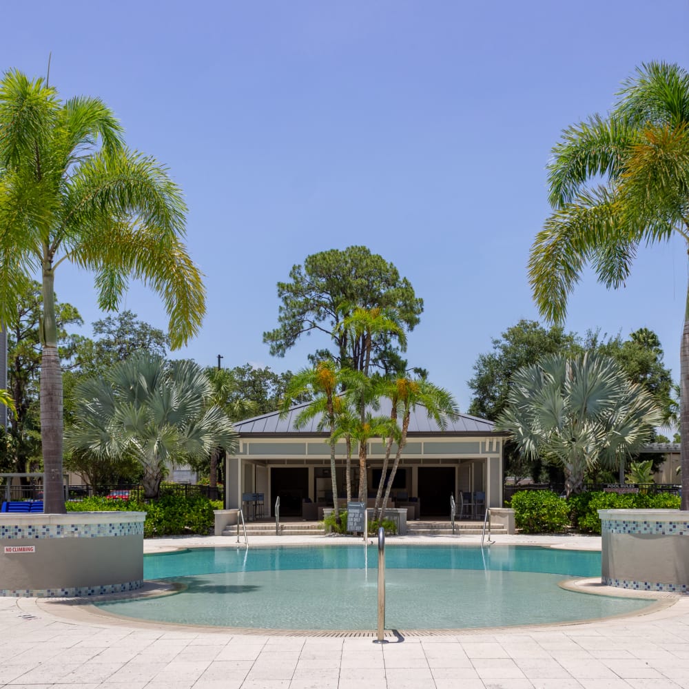 Swimming pool view towards lounge area at Venue Live Oak in Sarasota, Florida
