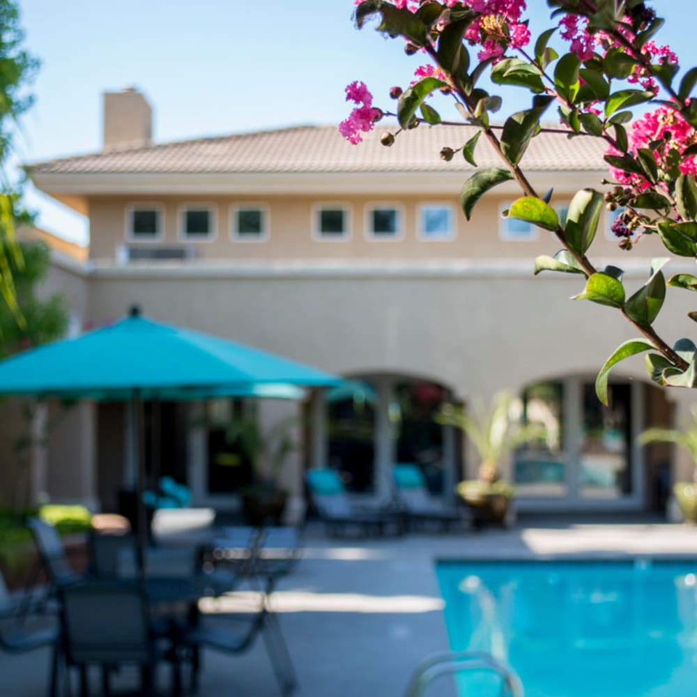 Pool and deck at Vineyard Gate Apartments in Roseville, California