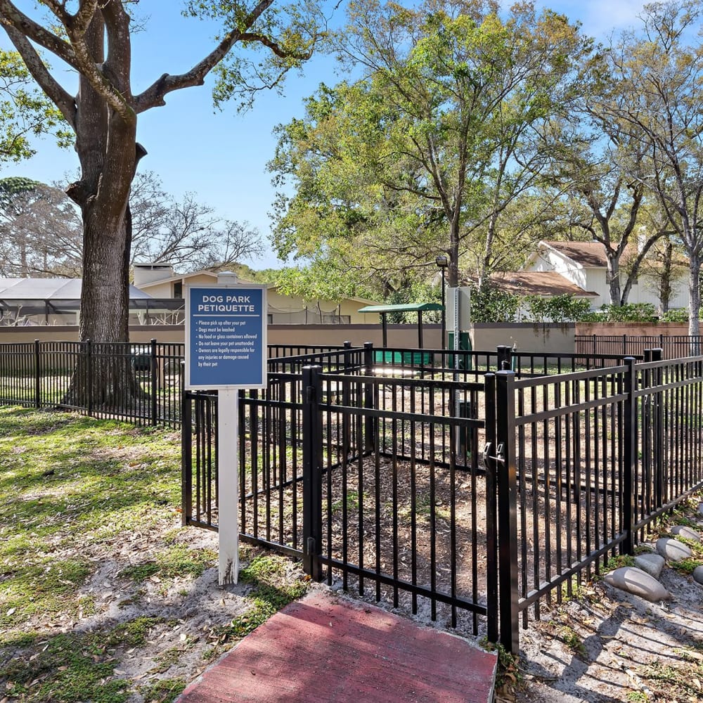 Fenced dog park at Estates at Countryside in Clearwater, Florida