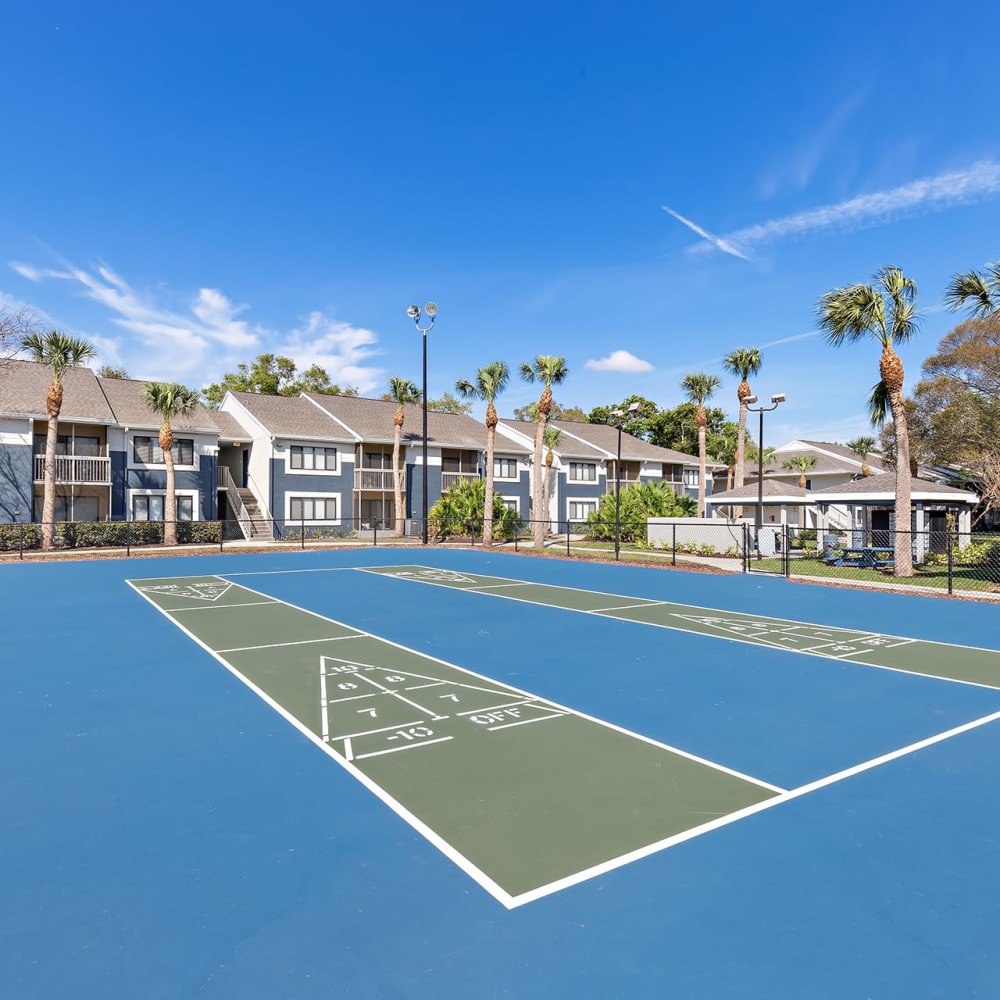 Court games at Estates at Countryside in Clearwater, Florida