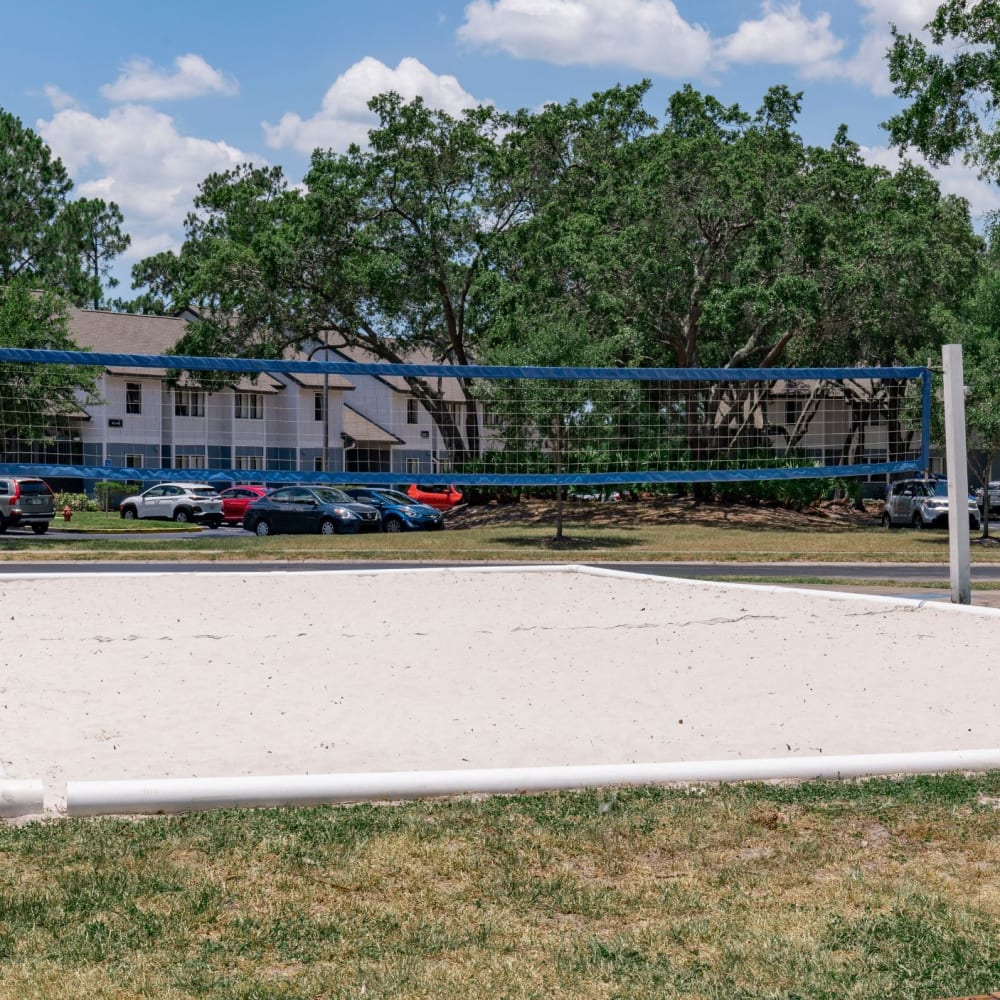Beach volleyball court at Lakeview at Palm Harbor in Palm Harbor, Florida
