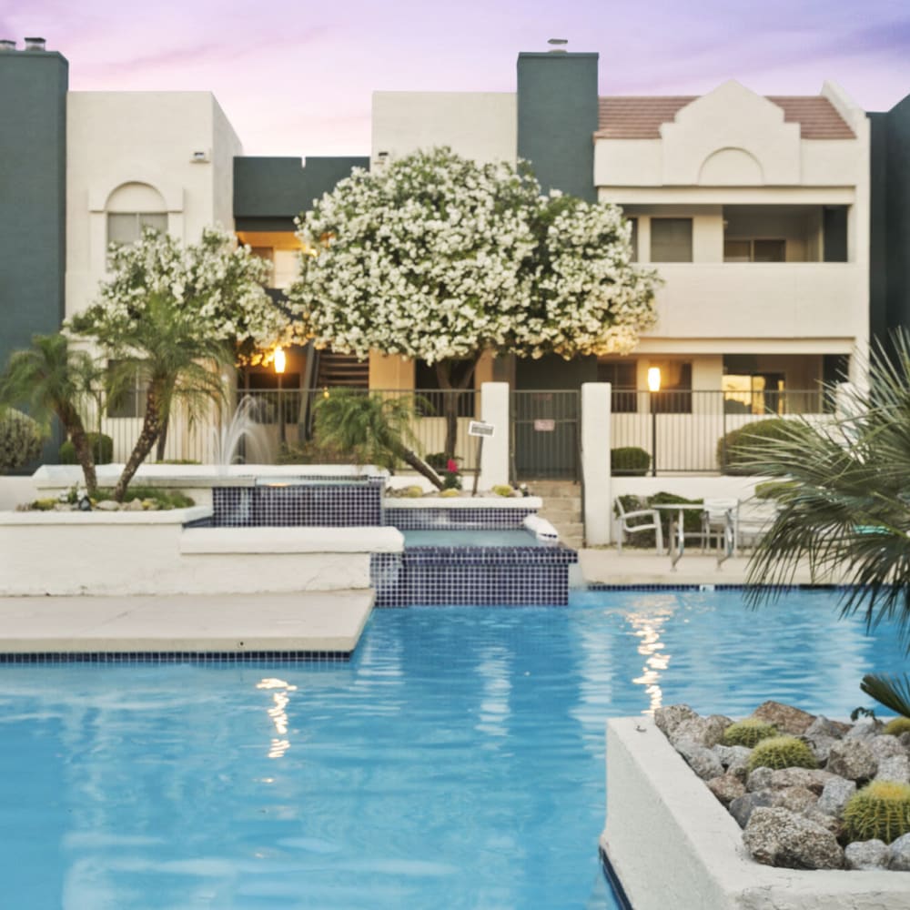 Beautiful pool side landscaping at Jade Scottsdale in Scottsdale, Arizona
