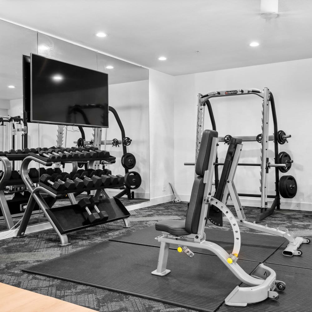 Fitness center with free weights at Jade Scottsdale in Scottsdale, Arizona