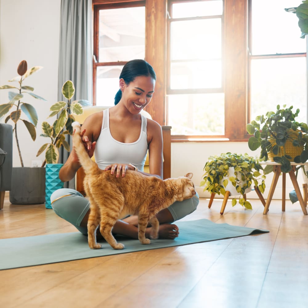A woman sitting on a yoga mat petting her cat at {location_name}} in Savannah, Georgia