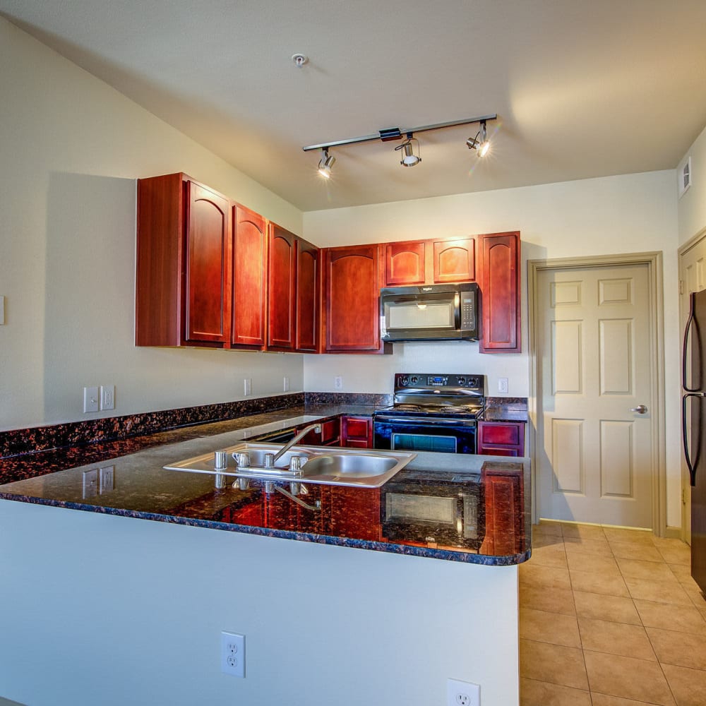 Modern kitchen with wood-style flooring at Estates at Canyon Ridge in San Antonio, Texas