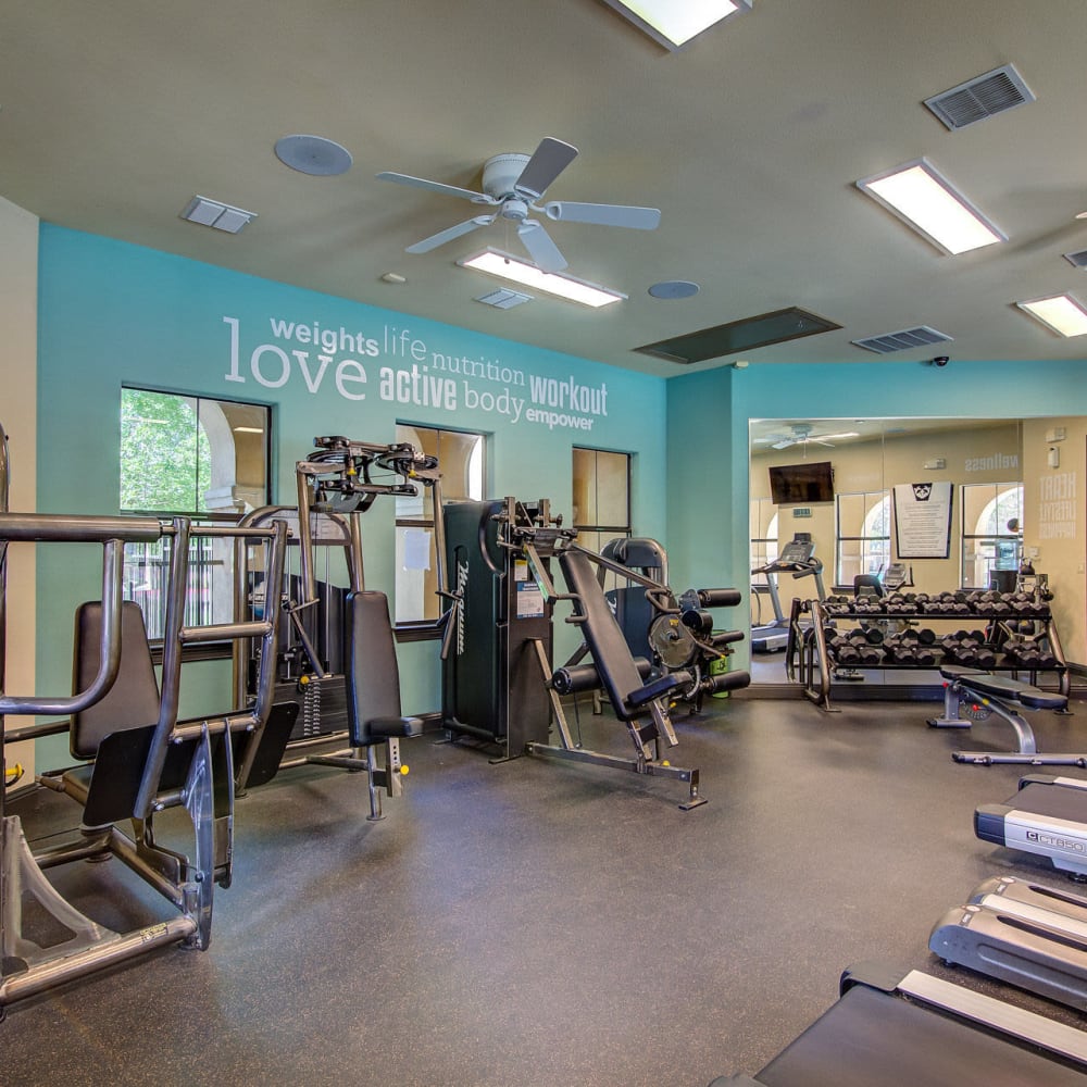Fitness center at Estates at Canyon Ridge in San Antonio, Texas