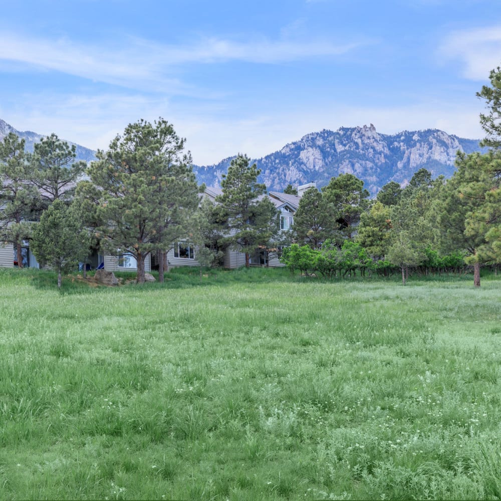 Large open green spaces at Pines at Broadmoor Bluffs in Colorado Springs, Colorado