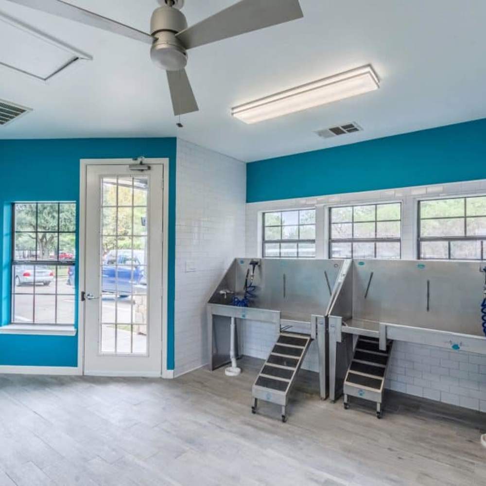 Pet washing station at Urban House in Dallas, Texas