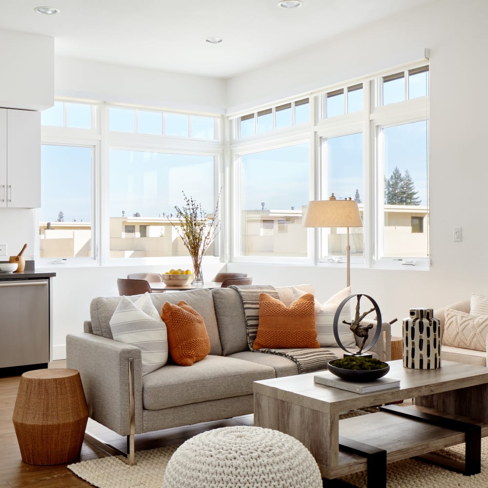 Luxury Living Apartments at Alvin's Corner in Campbell, California