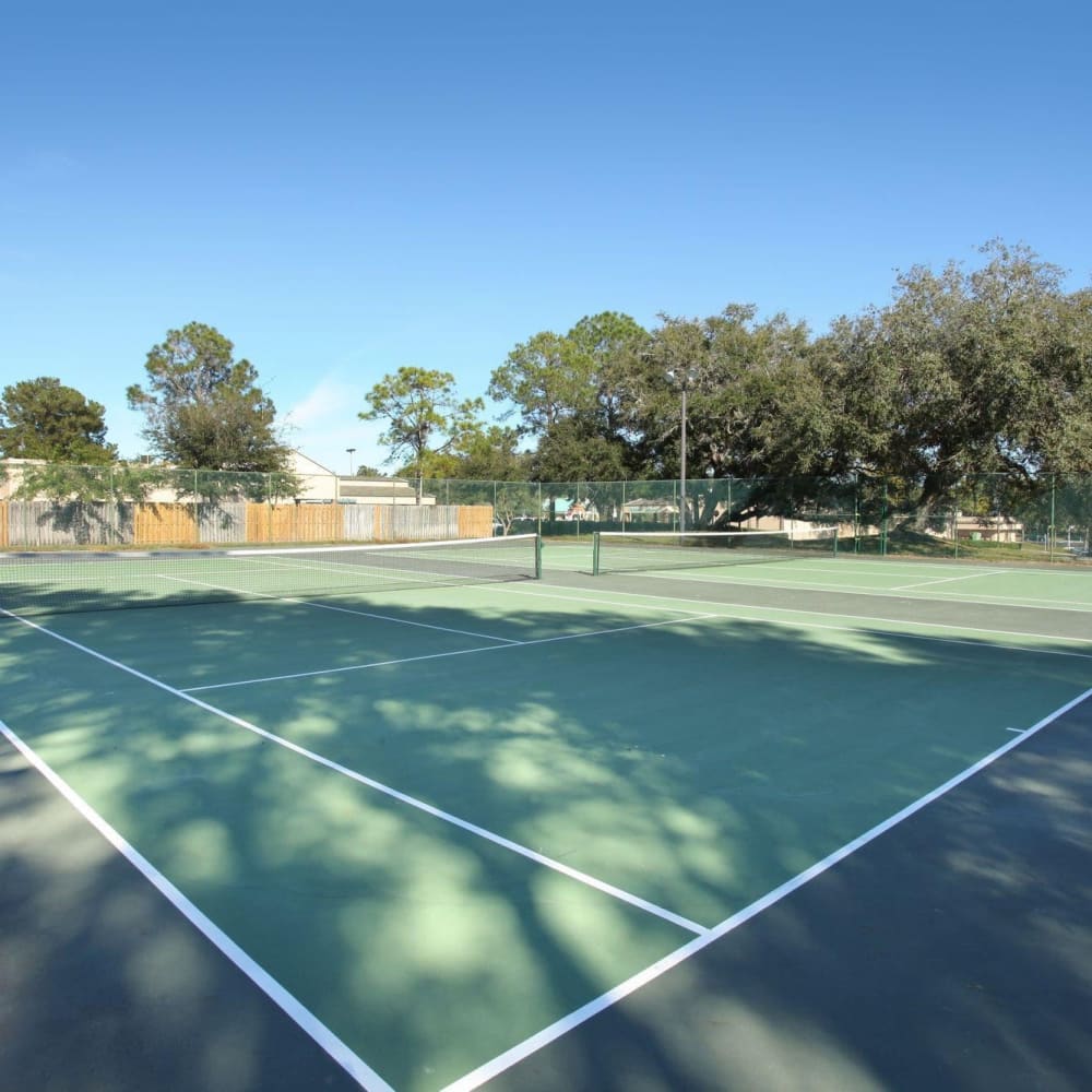 Tennis court at Twin Lakes in Palm Harbor, Florida