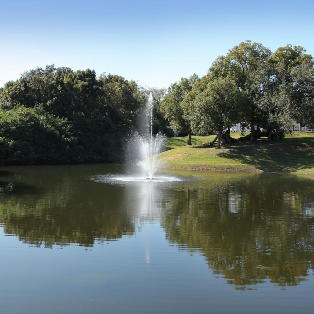 Water features in the pond at Twin Lakes in Palm Harbor, Florida