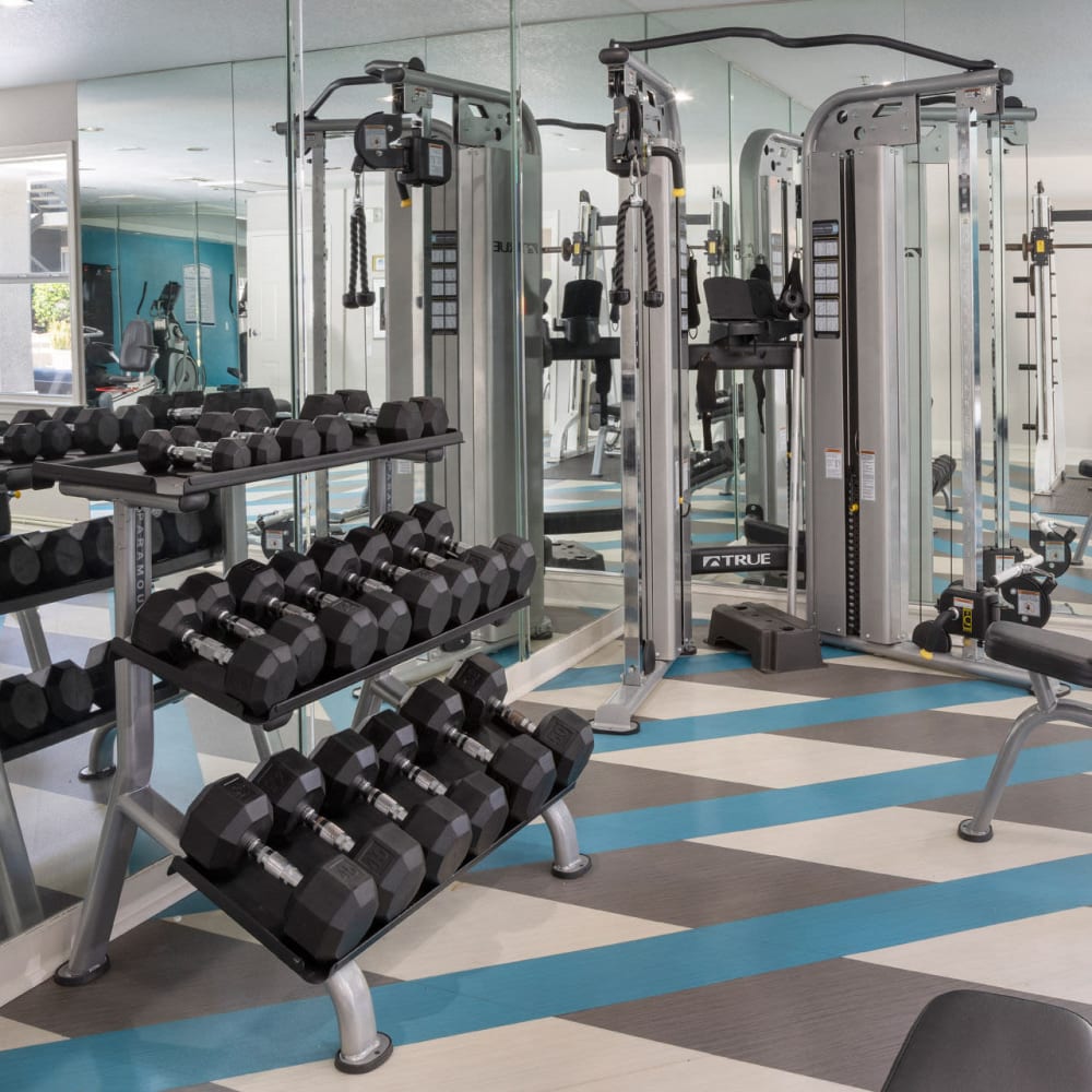 Exercise machines in fitness center at Central Park in Altamonte Springs, Florida