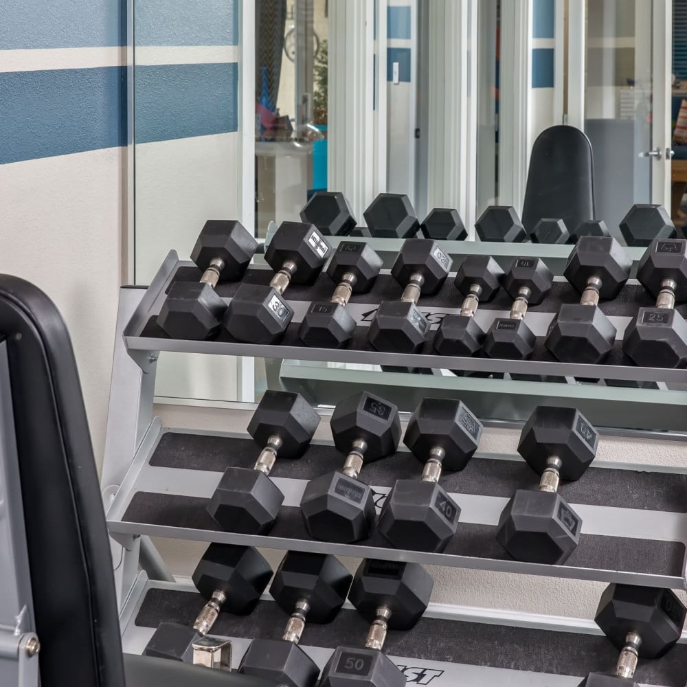 Free weights in the fitness center at Parke East in Orlando, Florida