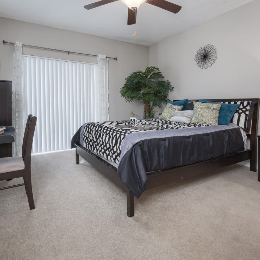 Master bedroom with plush carpeting at Aspire at Gateway in Pinellas Park, Florida