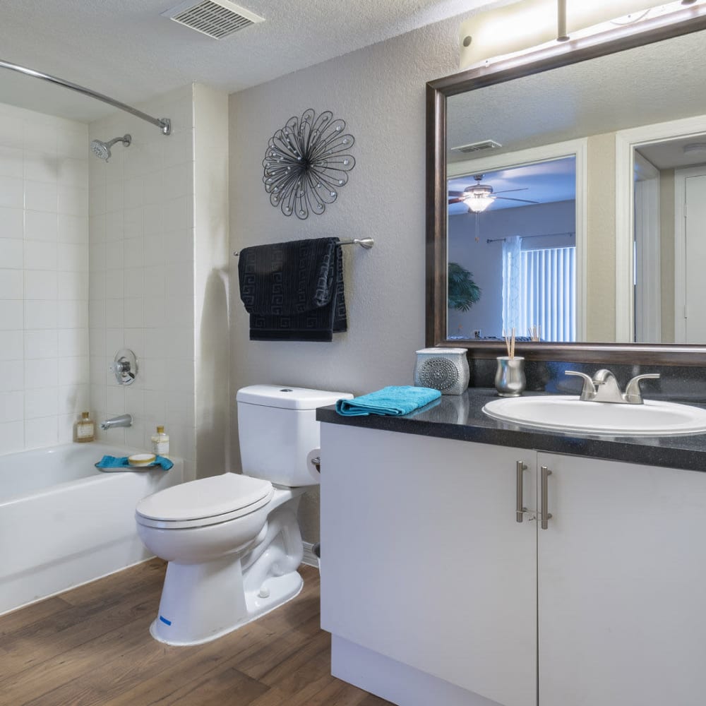 Bathroom with great lighting at Aspire at Gateway in Pinellas Park, Florida