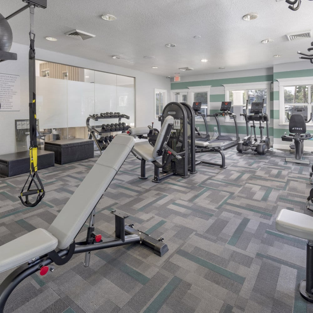 Fitness center with free weights at Sabal Palm in Tampa, Florida