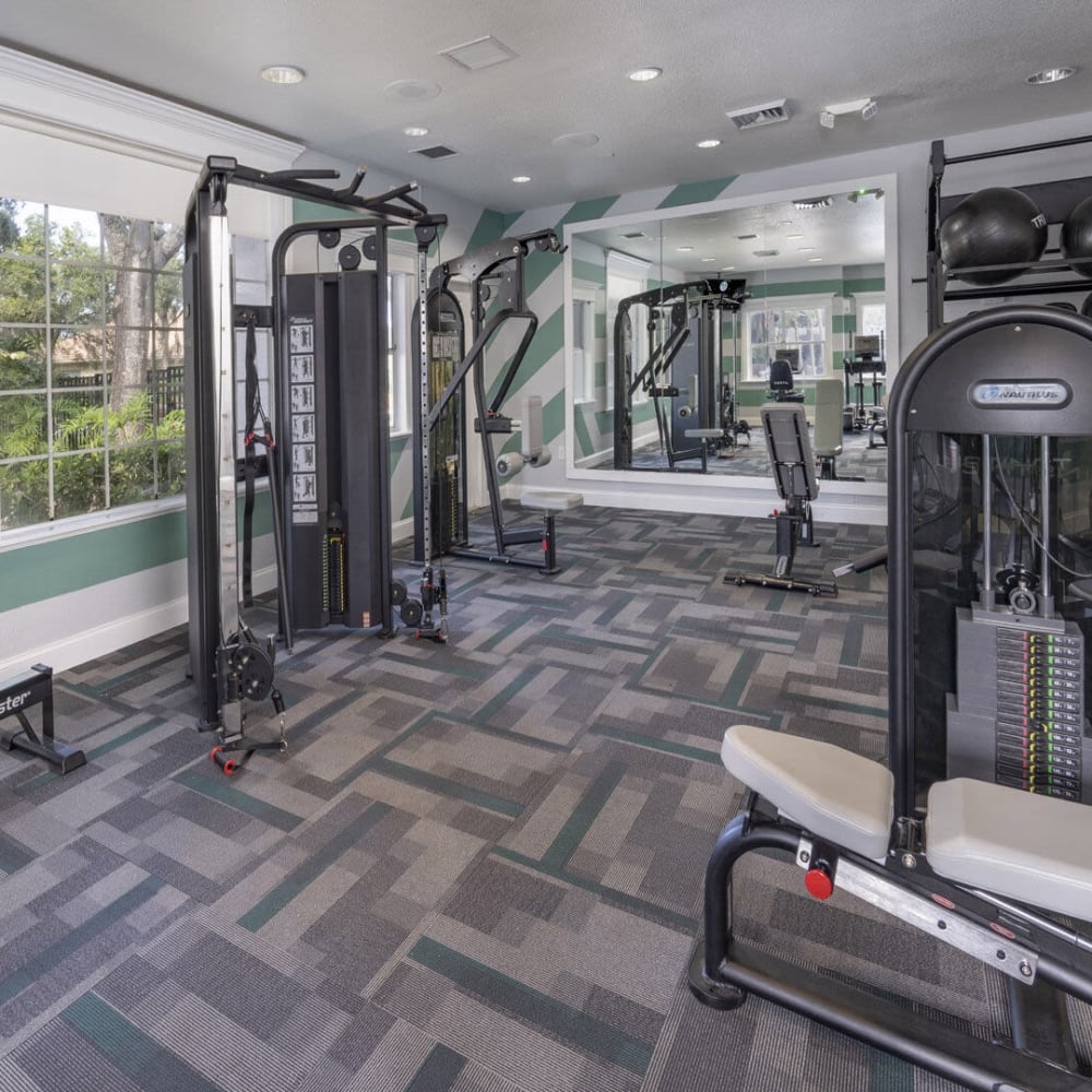 Fitness center with lots of mirrors and windows at Sabal Palm in Tampa, Florida