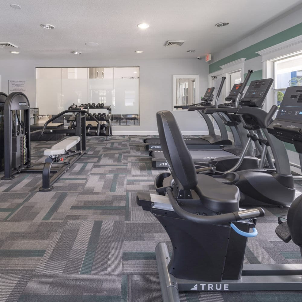 Fitness center with treadmills at Sabal Palm in Tampa, Florida