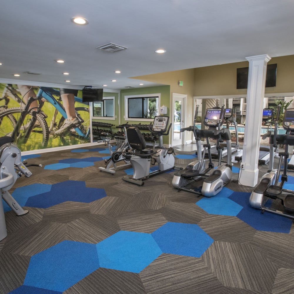 Fitness center at Stillwater Palms in Palm Harbor, Florida