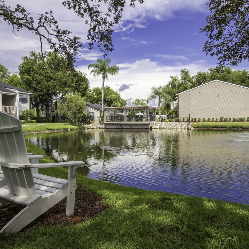 Beautiful pond views at Stillwater Palms in Palm Harbor, Florida