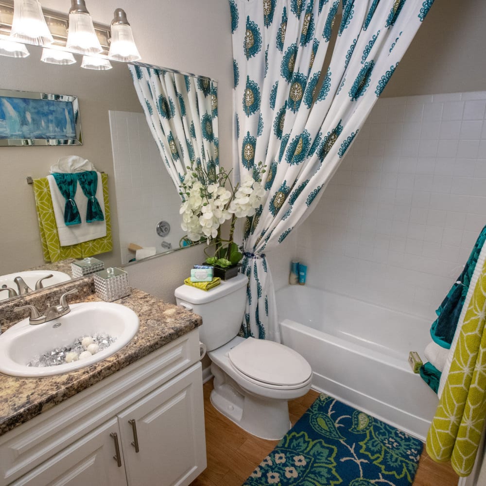 Resident bathroom with great lighting at Stillwater Palms in Palm Harbor, Florida