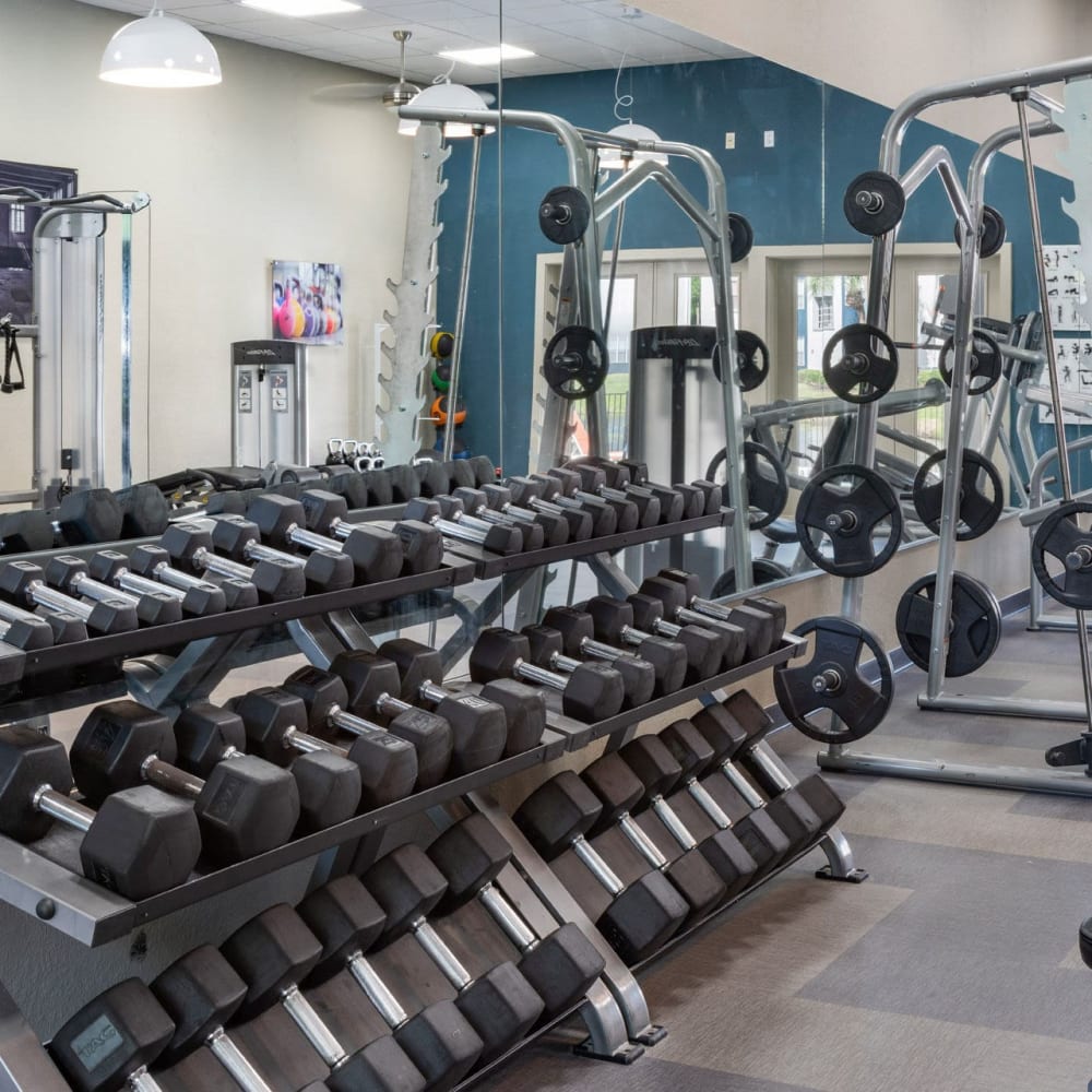 Fitness center with free weights at Solis At Winter Park in Winter Park, Florida