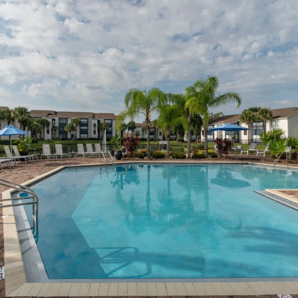 Resort style swimming pool at Solis At Winter Park in Winter Park, Florida