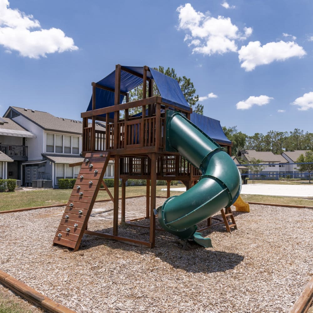 Children's playground at Lakeview at Palm Harbor in Palm Harbor, Florida