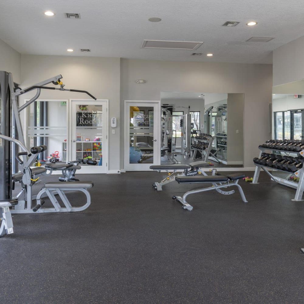 Fitness center with work out machines at Lakeview at Palm Harbor in Palm Harbor, Florida