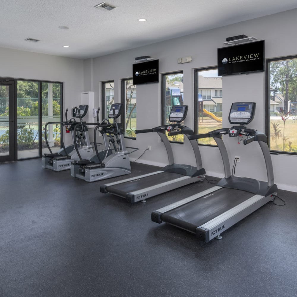 Fitness center with a treadmill at Lakeview at Palm Harbor in Palm Harbor, Florida